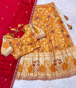 Paithank Tissue silk lehenga choli with dupatta