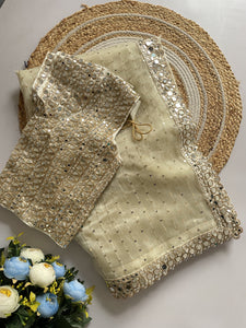 Bollywood Blockbuster Organza Saree with Original Mirror Work & Heavy Embroidered Silk Blouse
